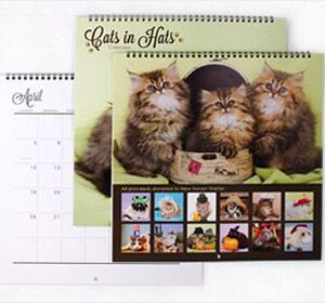 Wall Calendars