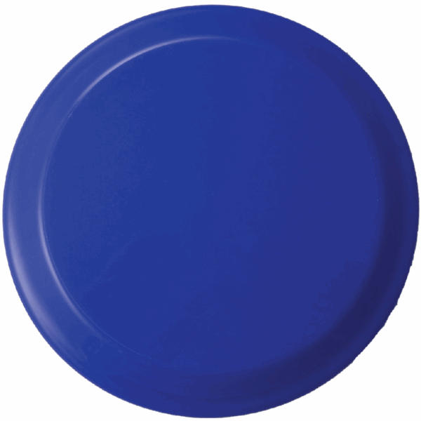 FR16 - 6" FLYING DISC - Image 3