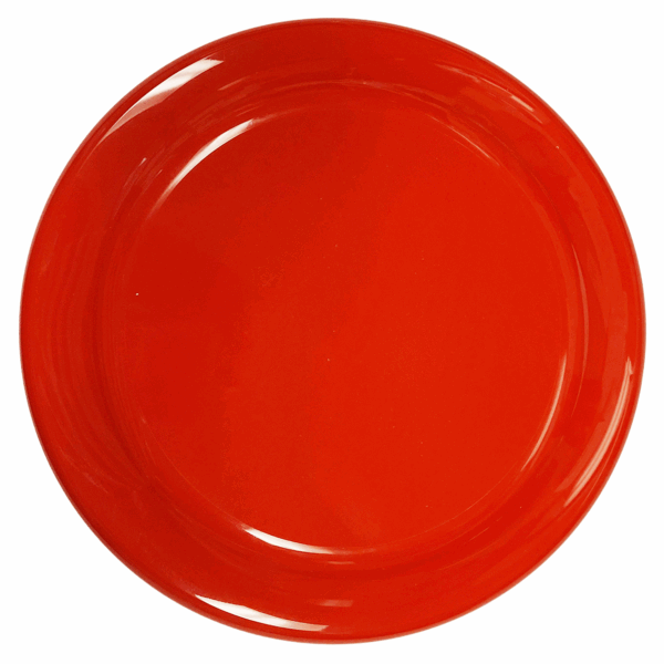 FR16 - 6" FLYING DISC - Image 6