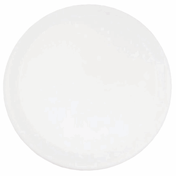 FR16 - 6" FLYING DISC - Image 5