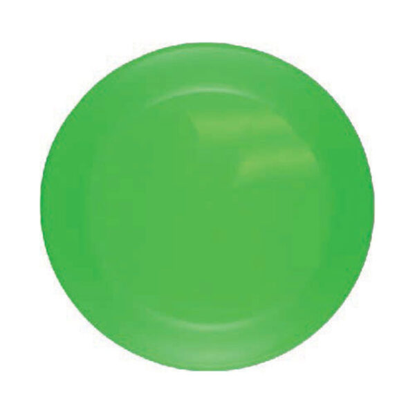 FR1 - 9'' FLYING DISC - Image 6
