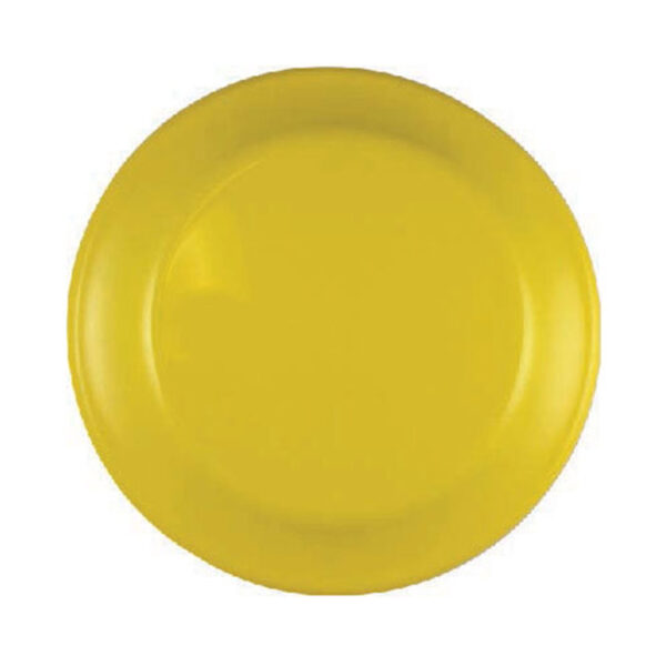 FR1 - 9'' FLYING DISC - Image 2
